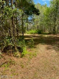 14+AC 32 HIGHWAY, ROPER, NC 27970, photo 2 of 36