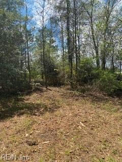 14+AC 32 HIGHWAY, ROPER, NC 27970, photo 3 of 36