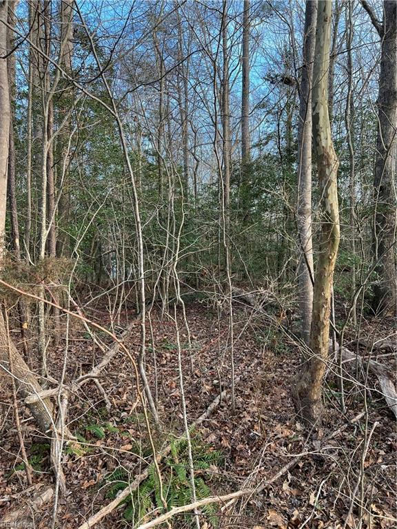 1.11AC CHRISCOE LANE, GLOUCESTER, VA 23061, photo 1 of 2