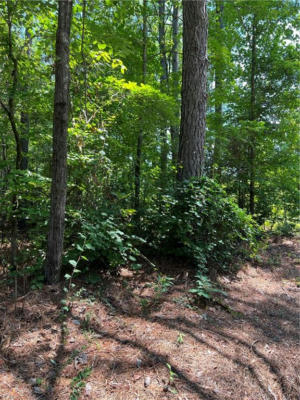 7.5AC LOCO SCHOOL (LOT 3) ROAD, STONY CREEK, VA 23882, photo 5 of 24