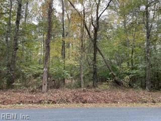21/2AC NEAL PARKER ROAD, WITHAMS, VA 23488 - Image 1